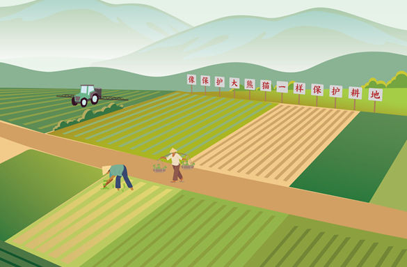 今年土地計劃指標將適當增加——訪自然資源部部長王廣華