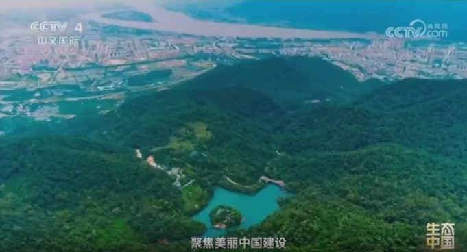 《生態中國》第三集：“植”此青綠 不負青山