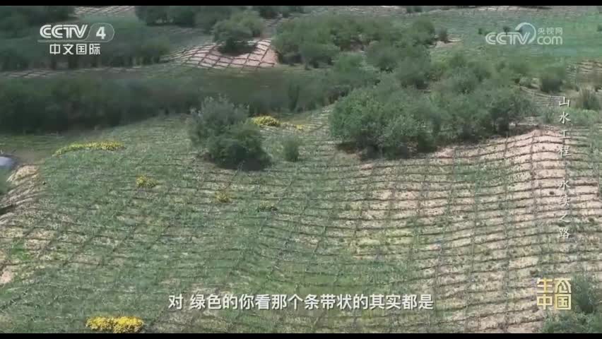 《生態中國》 第五集：山水工程 永續之路