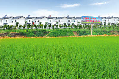 《節約集約利用土地規定》新聞發布會